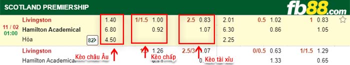 fb88-kèo chấp Livingston vs Hamilton