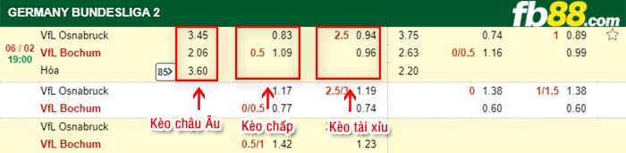 fb88-kèo chấp Osnabruck vs Bochum