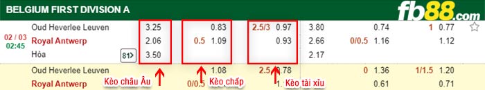 fb88-kèo chấp Oud Heverlee vs Royal Antwerp