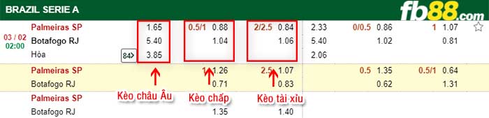 fb88-kèo chấp Palmeiras vs Botafogo