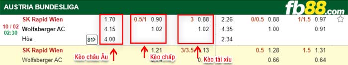 fb88-kèo chấp Rapid Wien vs Wolfsberger