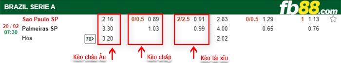 fb88-kèo chấp Sao Paulo vs Palmeiras