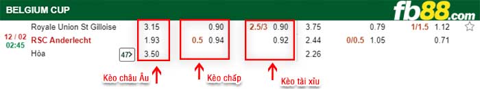 fb88-kèo chấp St. Gilloise vs Anderlecht