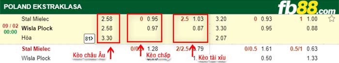 fb88-kèo chấp Stal Mielec vs Wisla Plock