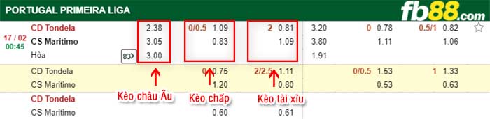 fb88-kèo chấp Tondela vs Maritimo