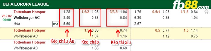 fb88-kèo chấp Tottenham vs Wolfsberger