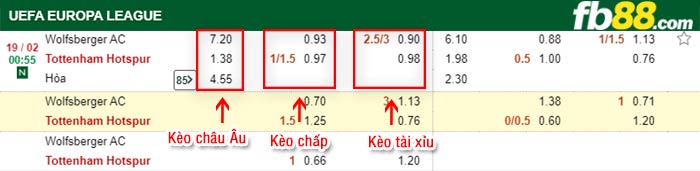 fb88-kèo chấp Wolfsberger vs Tottenham