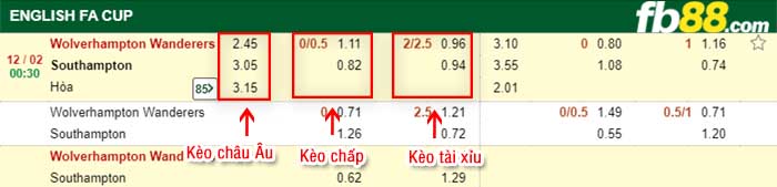 fb88-kèo chấp Wolves vs Southampton