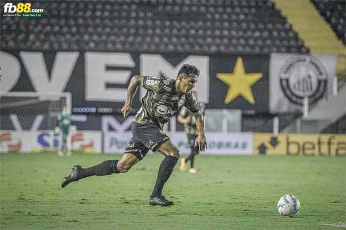 fb88-kèo nhà cái Coritiba vs Palmeiras