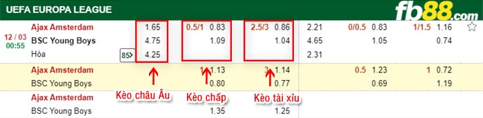 fb88-kèo chấp Ajax vs Young Boys