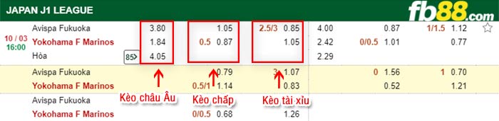 fb88-kèo chấp Avispa Fukuoka vs Yokohama Marinos