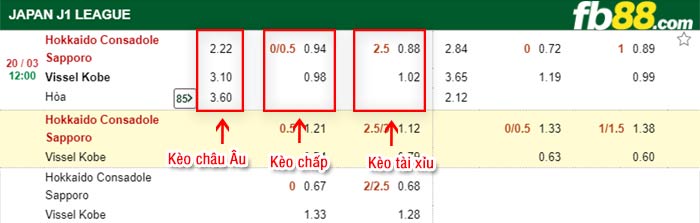 fb88-kèo chấp Consadole Sapporo vs Vissel Kobe