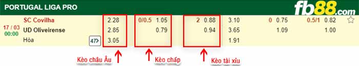 fb88-kèo chấp Covilha vs Oliveirense
