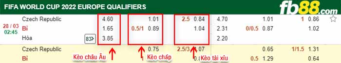 fb88-kèo chấp Czech vs Bi