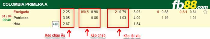 fb88-kèo chấp Envigado vs Patriotas