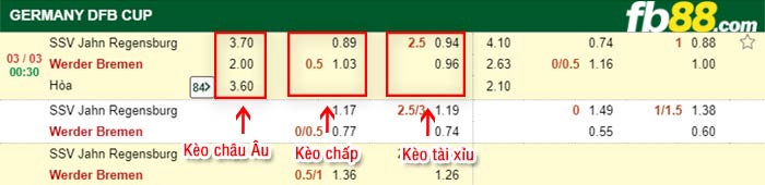 fb88-kèo chấp Jahn Regensburg vs Werder Bremen