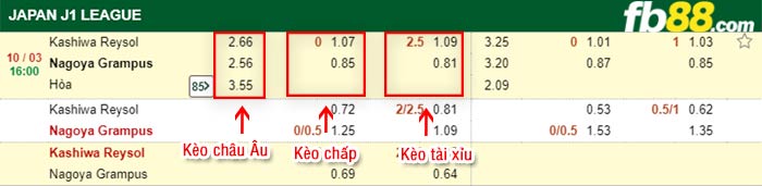 fb88-kèo chấp Kashiwa Reysol vs Nagoya Grampus