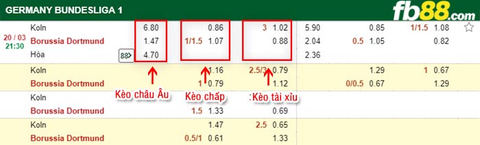 fb88-kèo chấp Koln vs Dortmund