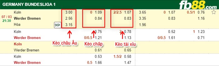 fb88-kèo chấp Koln vs Werder Bremen