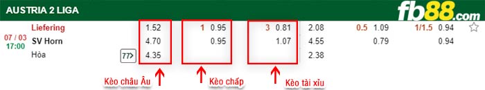 fb88-kèo chấp Liefering vs SV Horn