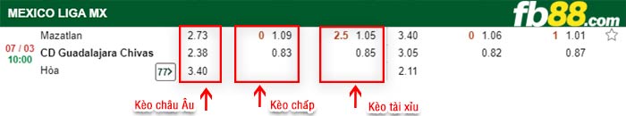 fb88-kèo chấp Mazatlan vs Chivas