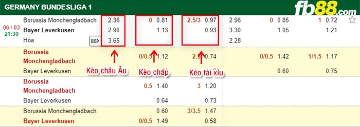 fb88-kèo chấp Monchengladbach vs Leverkusen