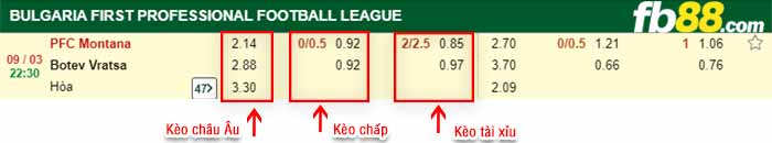 fb88-kèo chấp Montana vs Botev Vratsa