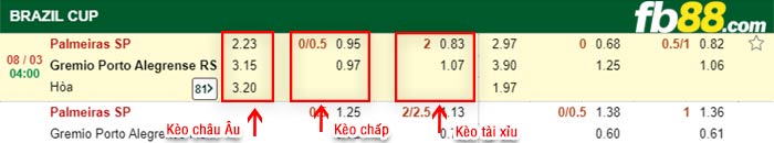 fb88-kèo chấp Palmeiras vs Gremio