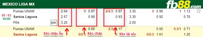 fb88-kèo chấp Pumas UNAM vs Santos Laguna