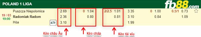 fb88-kèo chấp Puszcza Niepolomice vs Radomiak Radom