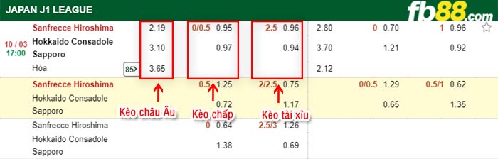 fb88-kèo chấp Sanfrecce Hiroshima vs Hokkaido