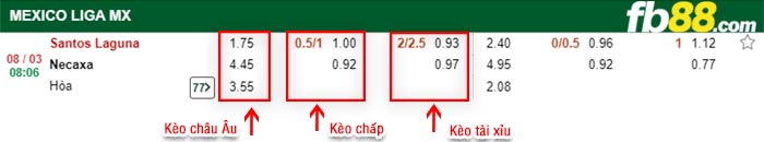 fb88-kèo chấp Santos Laguna vs Club Necaxa
