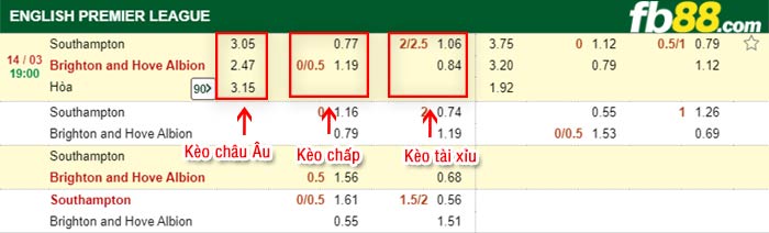 fb88-kèo chấp Southampton vs Brighton
