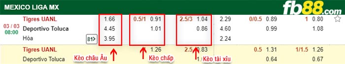fb88-kèo chấp Tigres UANL vs Toluca