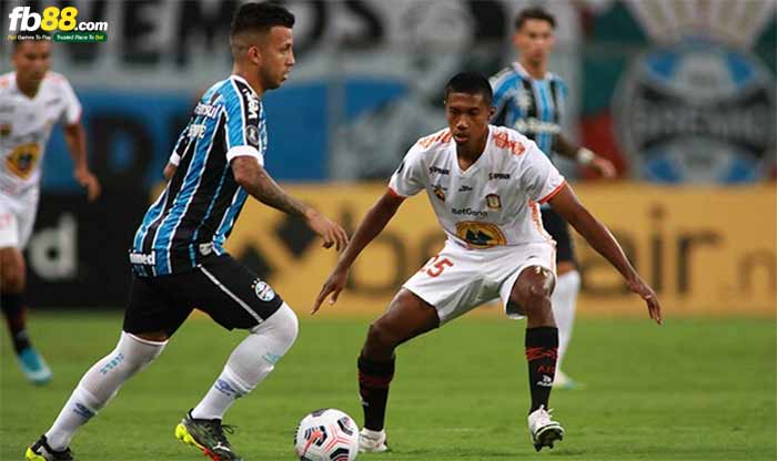 fb88-kèo nhà cái Ayacucho vs Gremio