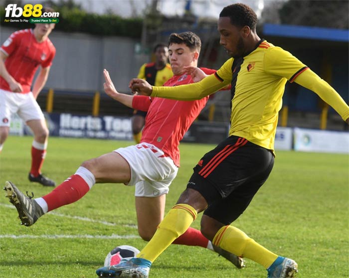 fb88-kèo chấp Watford U23 vs Swansea U23