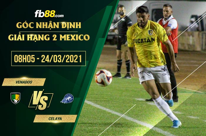 fb88-soi kèo Venados vs Celaya