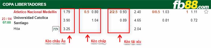 fb88-bảng kèo trận đấu Atletico Nacional vs Univ Catolica