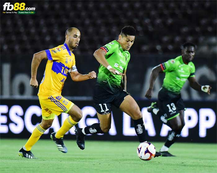 fb88-bảng kèo trận đấu Club Leon vs Juarez