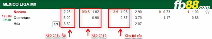 fb88-bảng kèo trận đấu Club Necaxa vs Queretaro