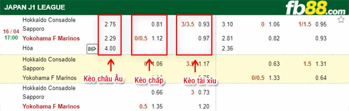 fb88-bảng kèo trận đấu Consadole Sapporo vs Yokohama F Marinos
