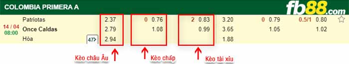 fb88-bảng kèo trận đấu Patriotas vs Once Caldas