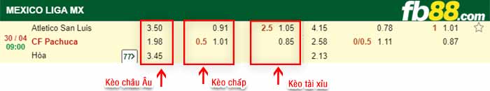 fb88-bảng kèo trận đấu San Luis vs Pachuca
