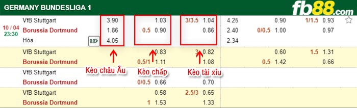 fb88-bảng kèo trận đấu Stuttgart vs Dortmund