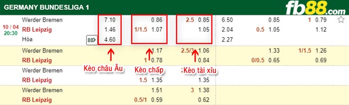 fb88-bảng kèo trận đấu Werder Bremen vs Leipzig