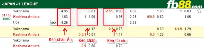 fb88-bảng kèo trận đấu Yokohama vs Kashima Antlers