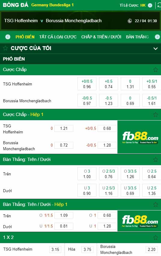 fb88-chi tiết kèo trận đấu Hoffenheim vs Monchengladbach