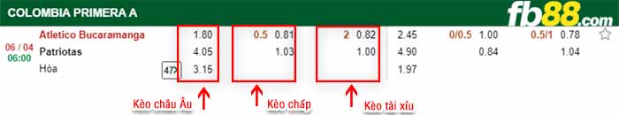 fb88-kèo chấp Atletico Bucaramanga vs Patriotas