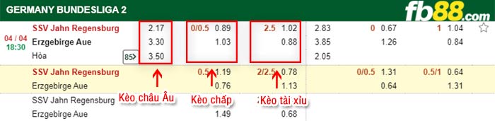 fb88-kèo chấp Jahn Regensburg vs Aue