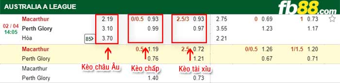 fb88-kèo chấp Macarthur vs Perth Glory